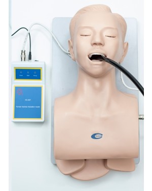 Modelo p/ Treino de Intubação Adulto COL 1407 Coleman