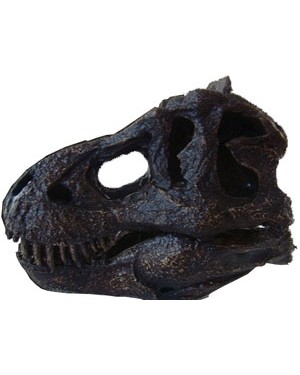 Miniatura de Crânio de Tyrannosaurus BRF17 Bios Réplicas