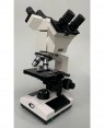 Microscopio com duas cabeças